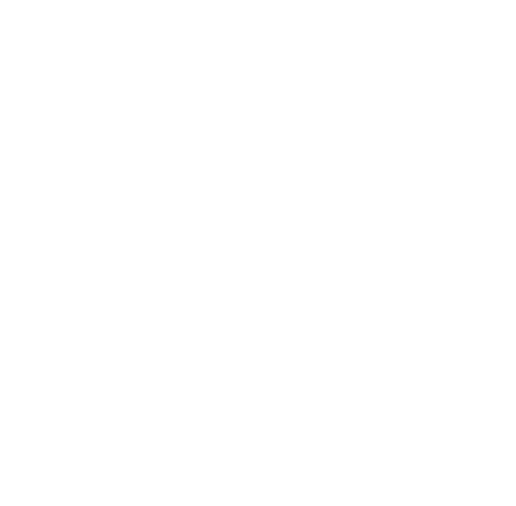 C-N Mission Logo